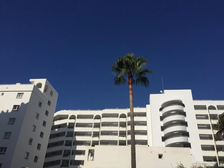 شقق للايجار في جدة عزاب